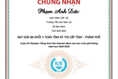 KẾT QUẢ KỲ THI IOE CẤP TỈNH NĂM HỌC 2025-2026